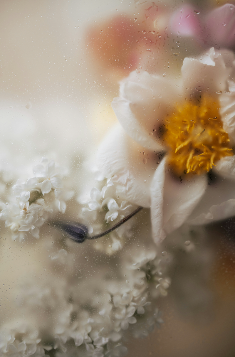 Floral Mist 50 ml Perfume Oil Roller