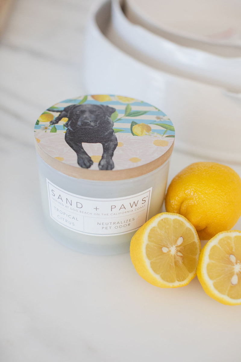 Sand + Paws Tropical Citrus 12 oz scented candle